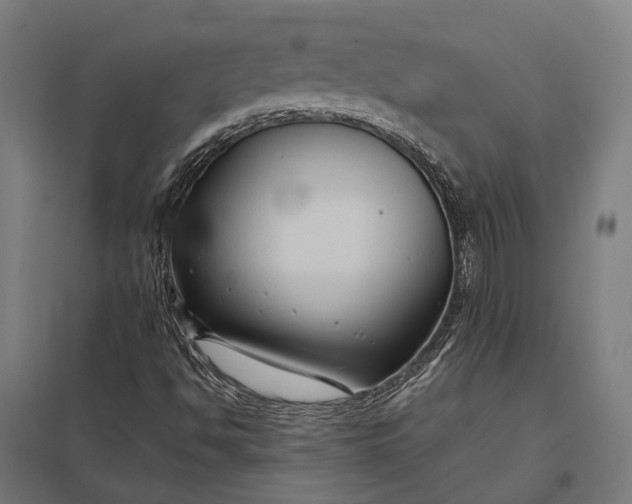 X0000097921494200803281414