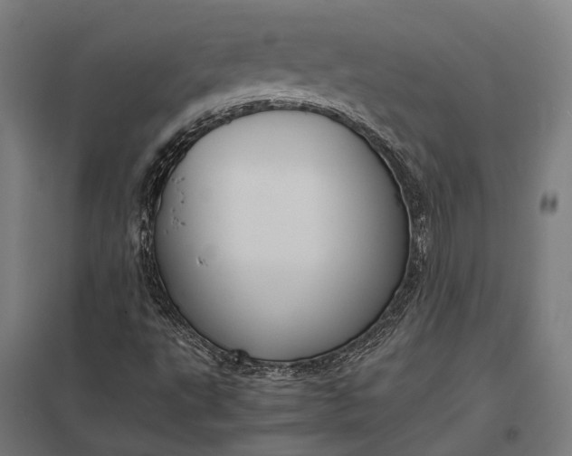 X0000097921495200803281414