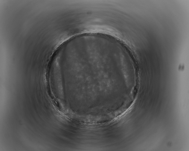 X0000097921497200803281414