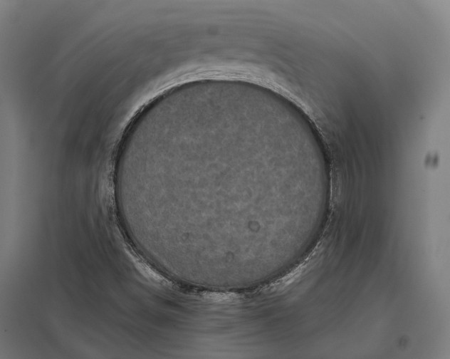 X0000097921498200803281414