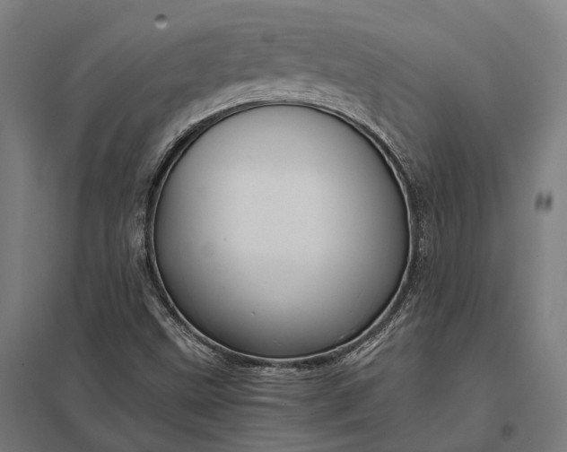 X0000097921499200803281414