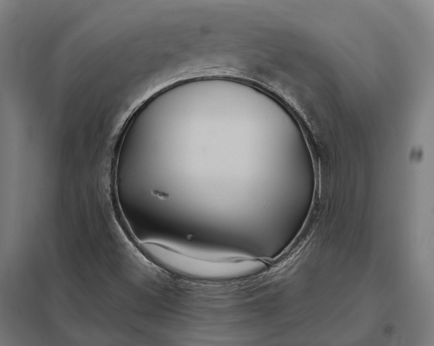 X0000097921500200803281414