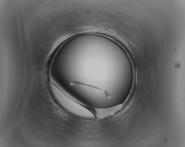 X0000097921501200803281414