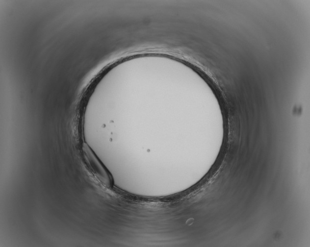 X0000097921502200803281414