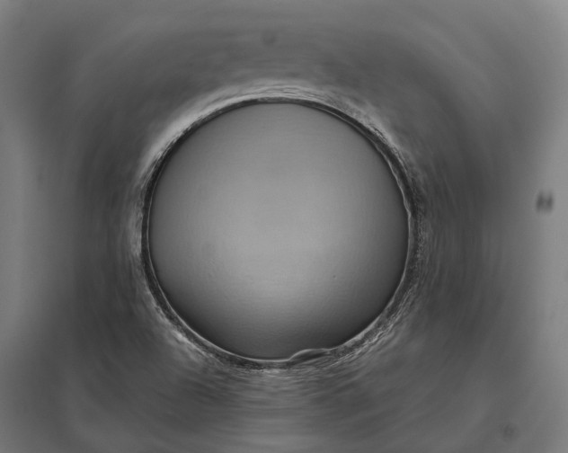 X0000097921504200803281414