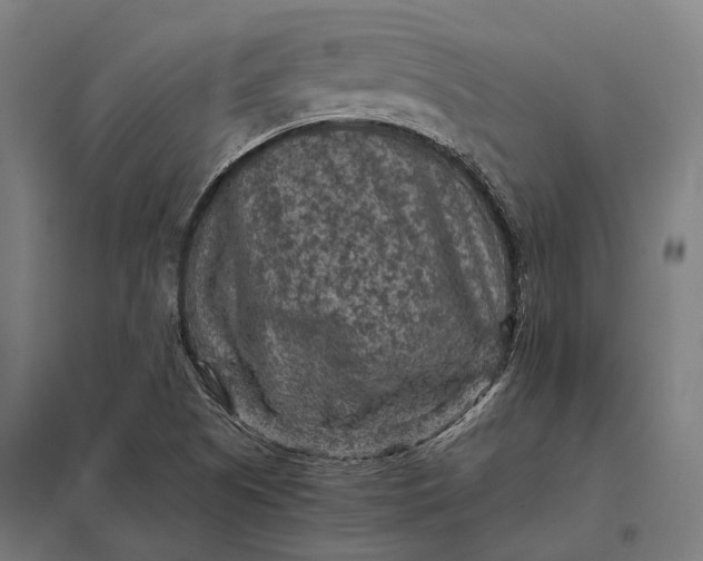 X0000097921505200803281414