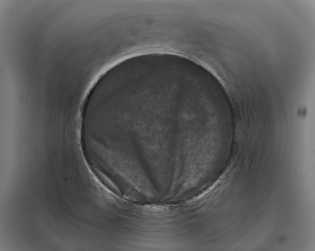 X0000097921508200803281414