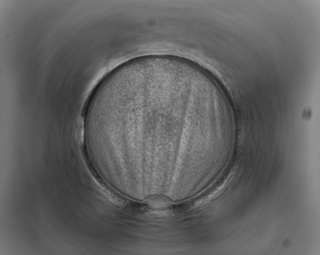 X0000097921509200803281414