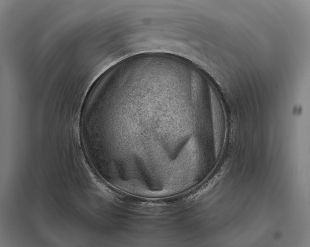 X0000097921513200803281414