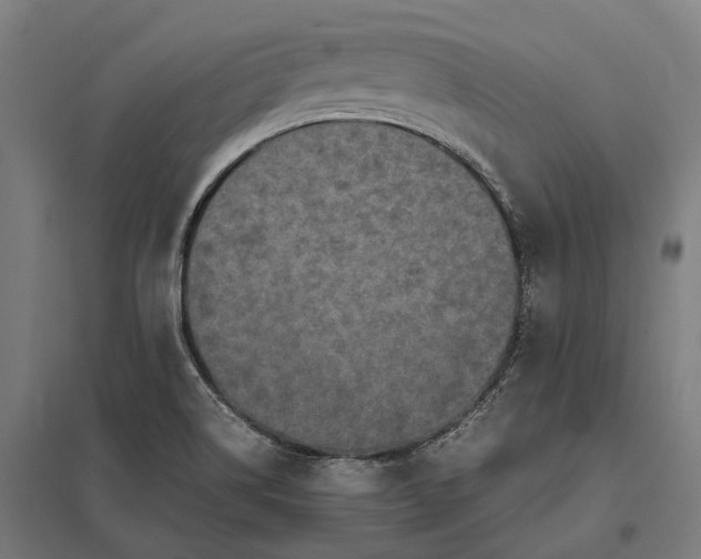 X0000097921514200803281414