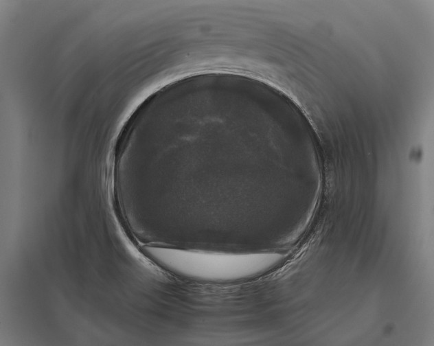 X0000097921515200803281414