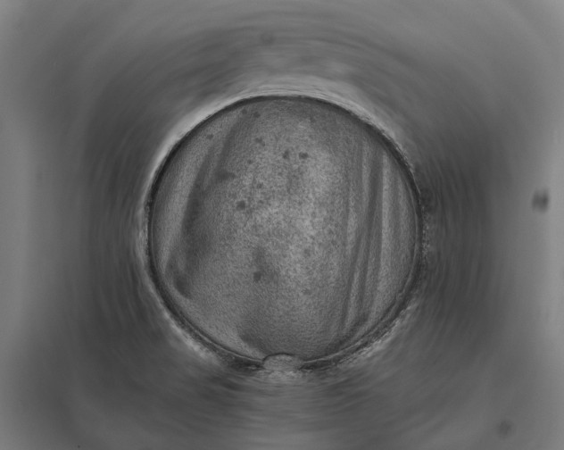 X0000097921517200803281414