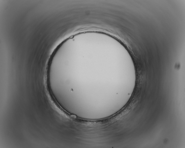 X0000097921518200803281414