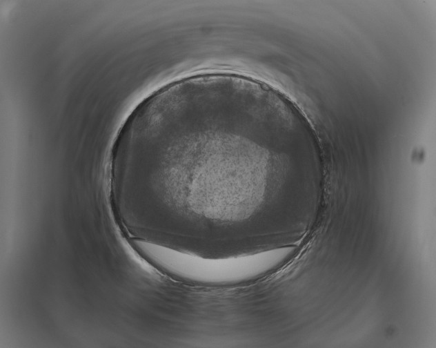 X0000097921519200803281414