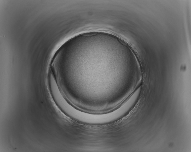 X0000097921520200803281414