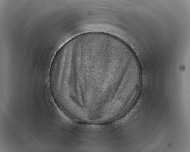 X0000097921521200803281414