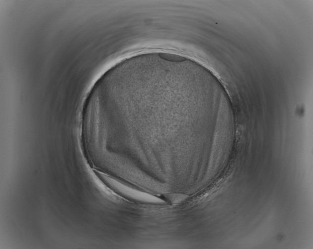 X0000097921523200803281414