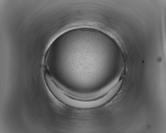 X0000097921524200803281414