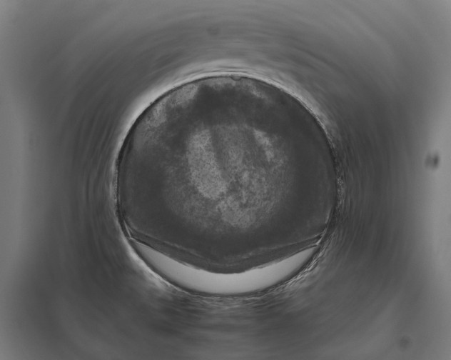 X0000097921527200803281414