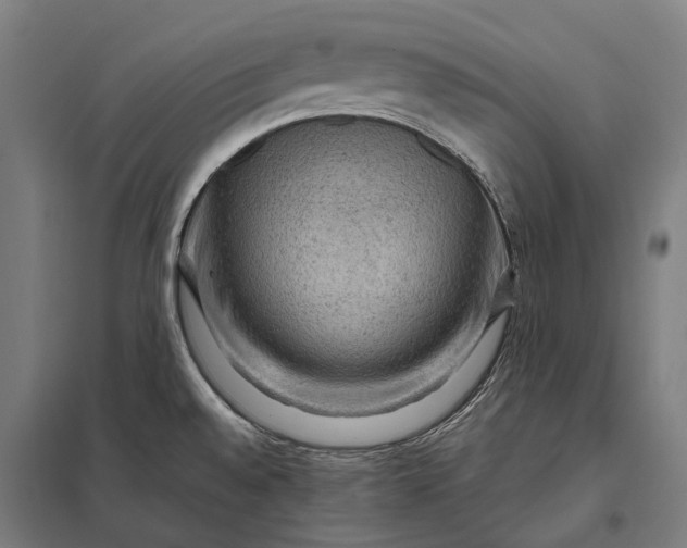 X0000097921528200803281414