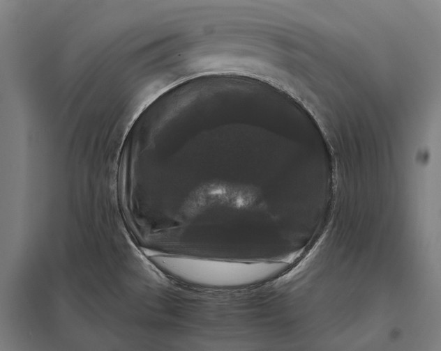 X0000097921529200803281414