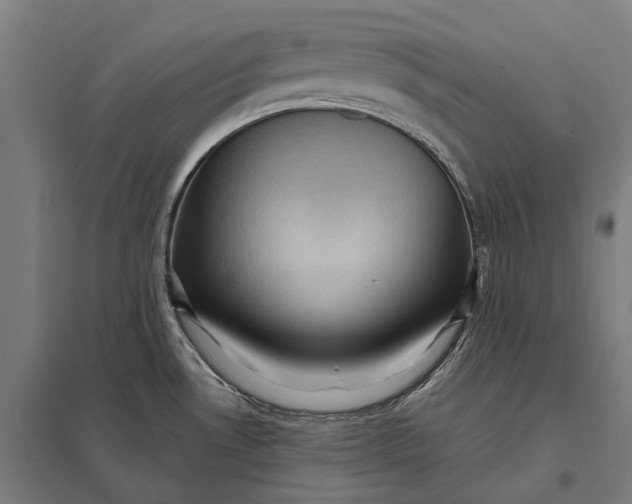 X0000097921530200803281414