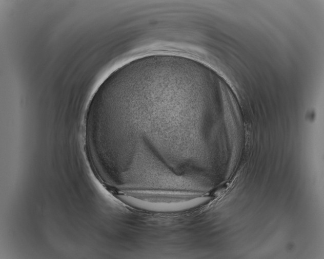 X0000097921531200803281414