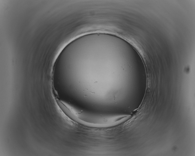 X0000097921532200803281414