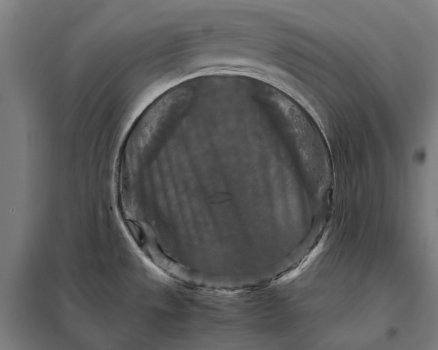 X0000097921533200803281414