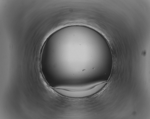 X0000097921534200803281414