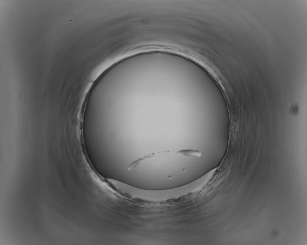 X0000097921535200803281414