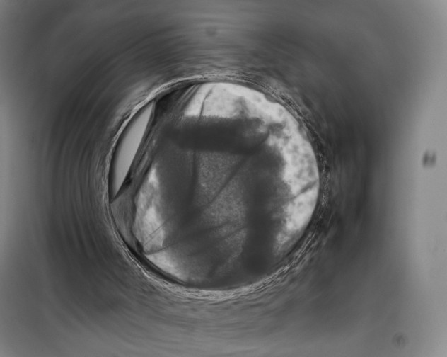 X0000097920002200804041535