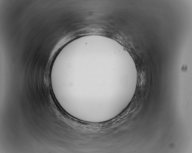 X0000097920004200804041535