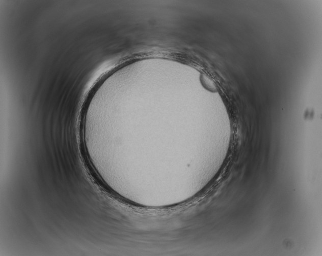 X0000097920006200804041534