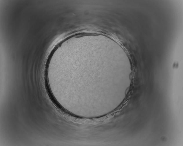 X0000097920007200804041534