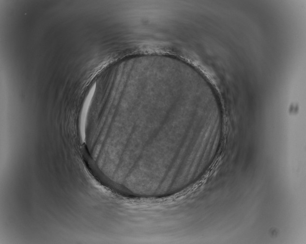 X0000097920009200804041534