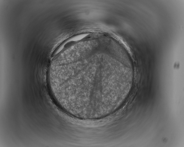 X0000097920010200804041534