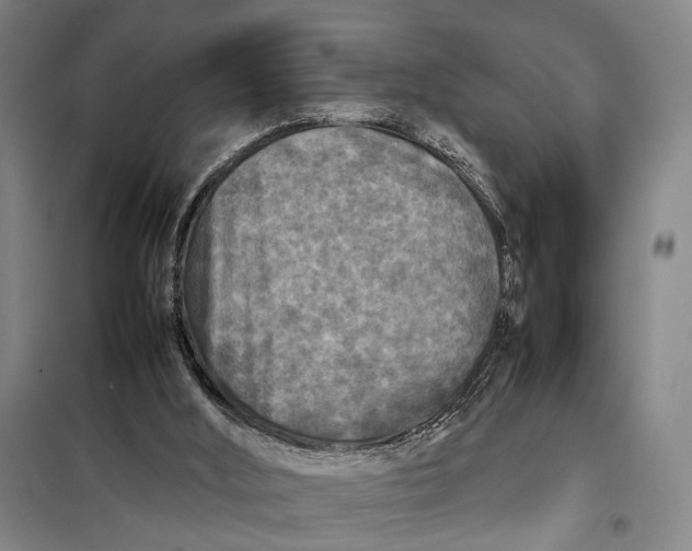 X0000097920012200804041534