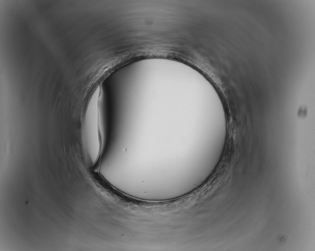 X0000097920013200804041534