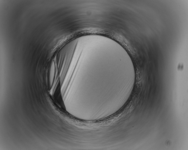 X0000097920014200804041534