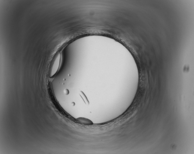 X0000097920015200804041534