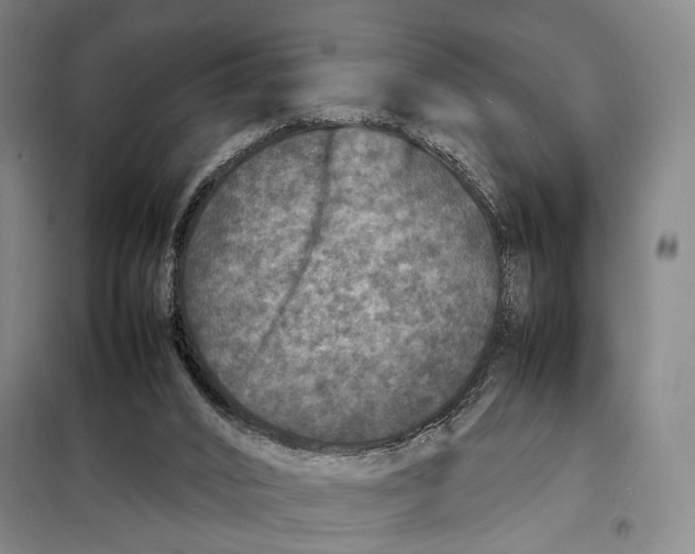 X0000097920016200804041534