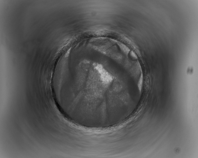 X0000097920018200804041534