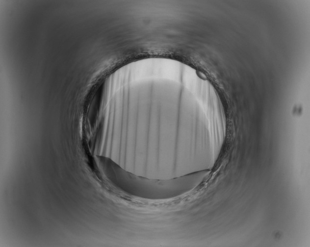 X0000097920019200804041534