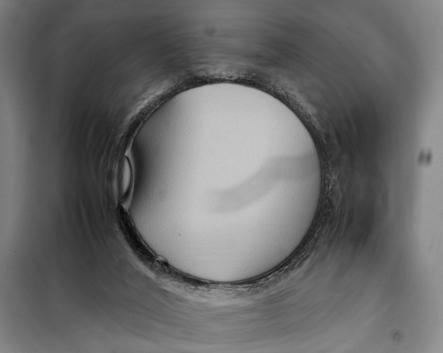 X0000097920020200804041534