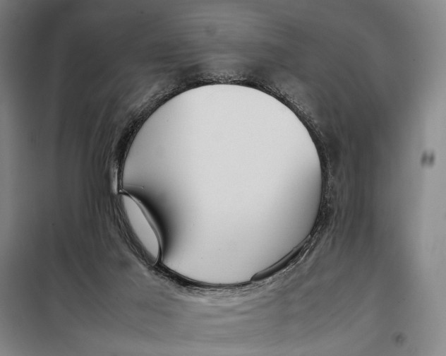 X0000097920021200804041534