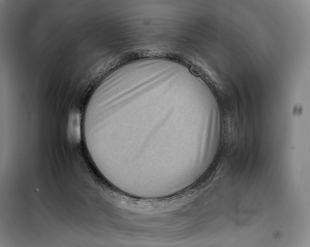 X0000097920022200804041534