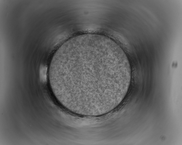 X0000097920024200804041534