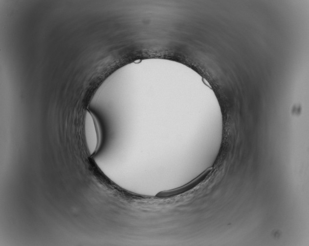 X0000097920025200804041534