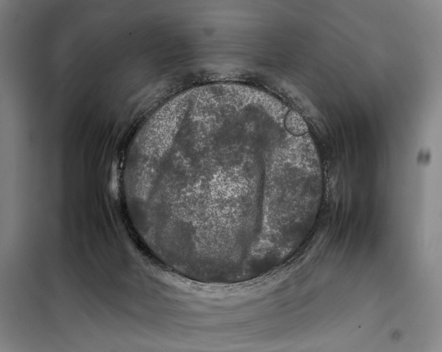 X0000097920026200804041534